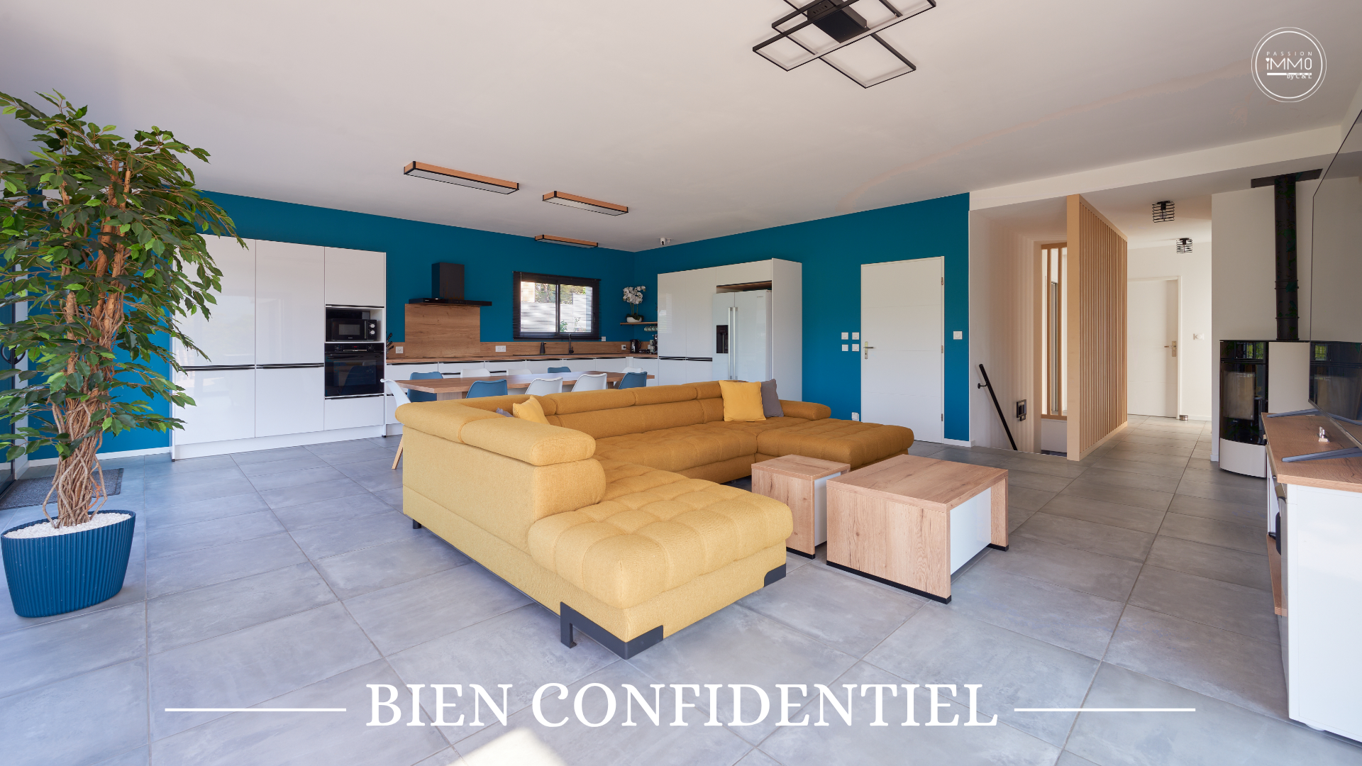Maison grand standing, SISTERON